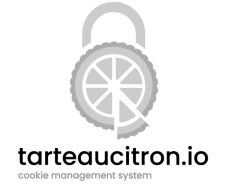 geoservices-1-e1745932527424.png